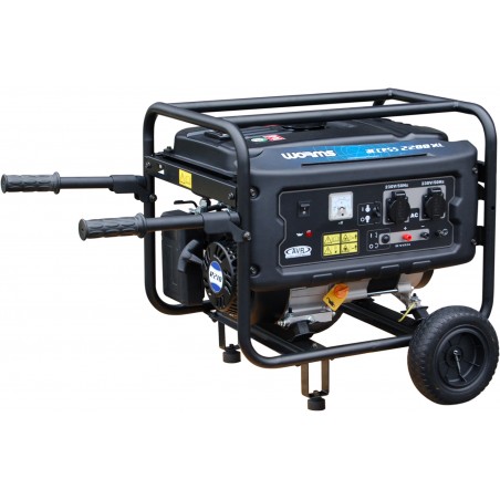 WORMS ACCESS 2200 XL