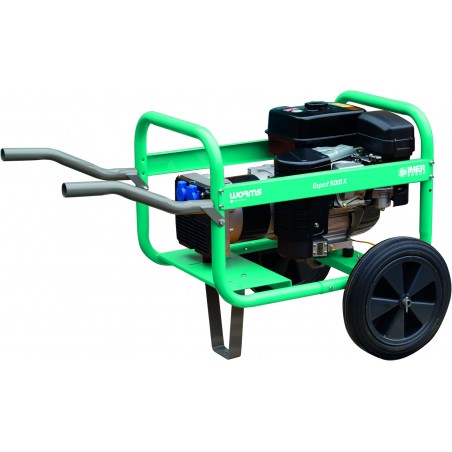 WORMS EXPERT 5010 X